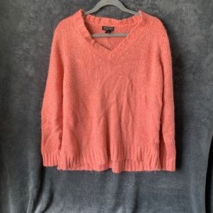 New York & Co V Neck Sweater